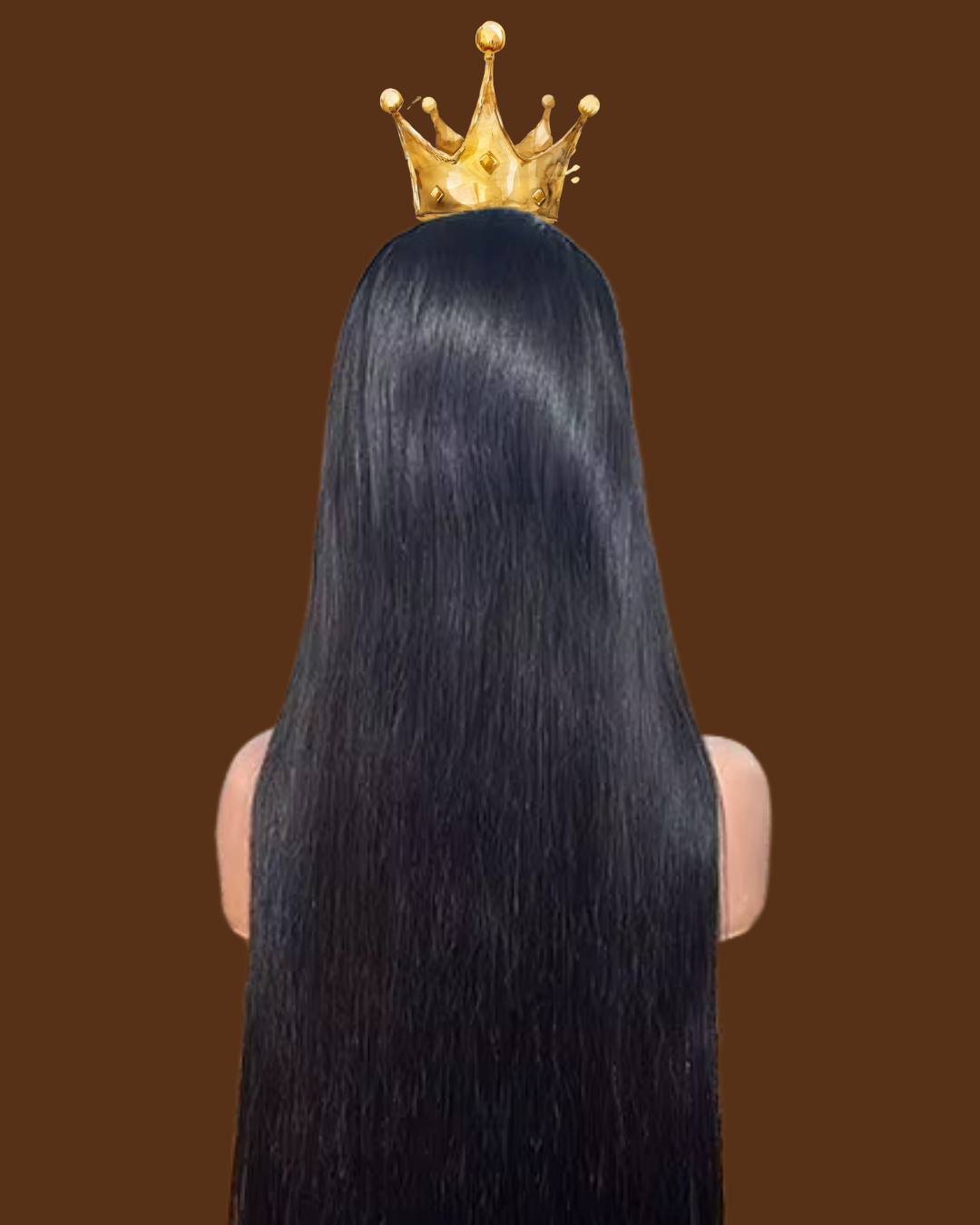 24” 13x6 200% Density Straight Frontal Wig